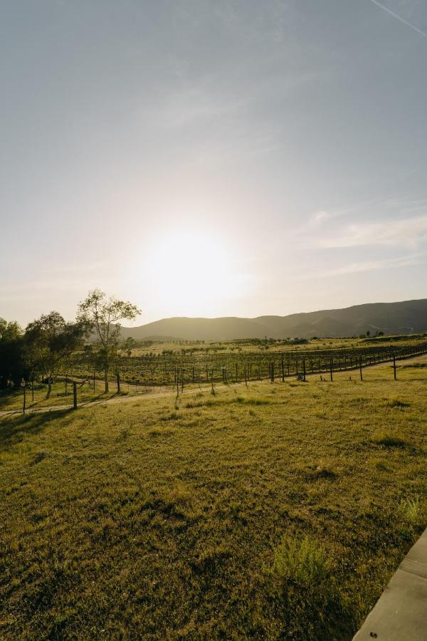 Casa Primavera/ Valle De Guadalupe Kültér fotó